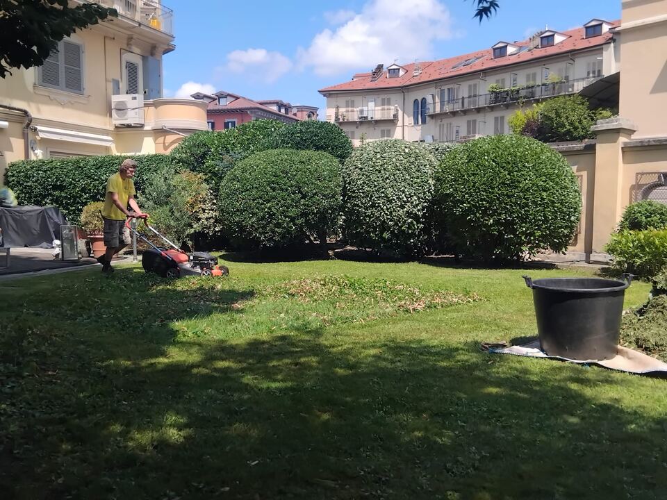 Giardino con prato verde, siepi e area relax