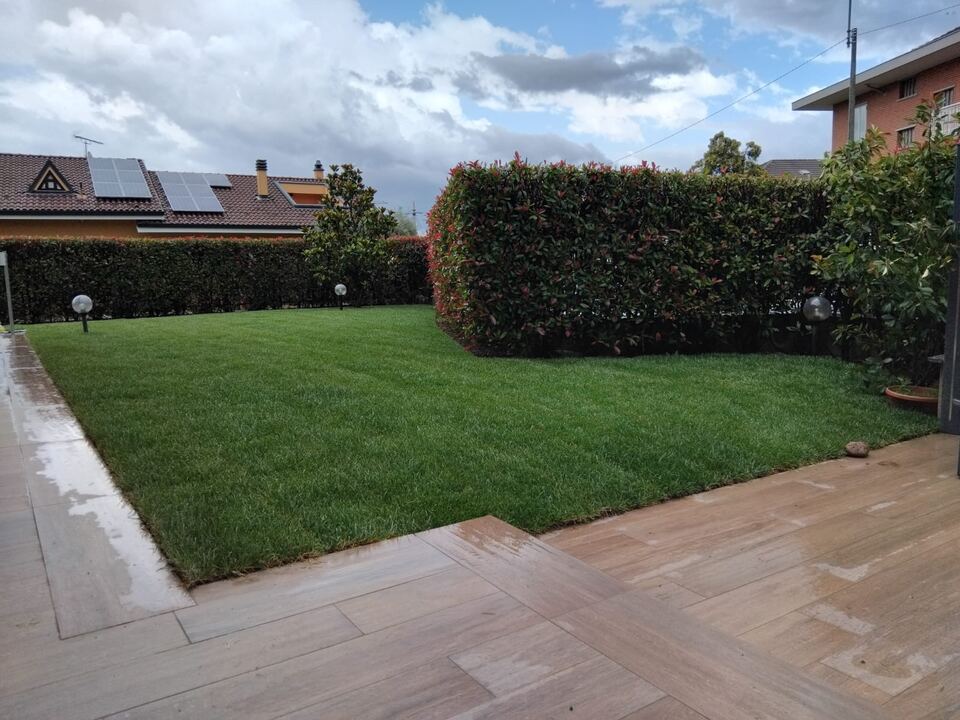 Prato finito accanto a un patio in pietra