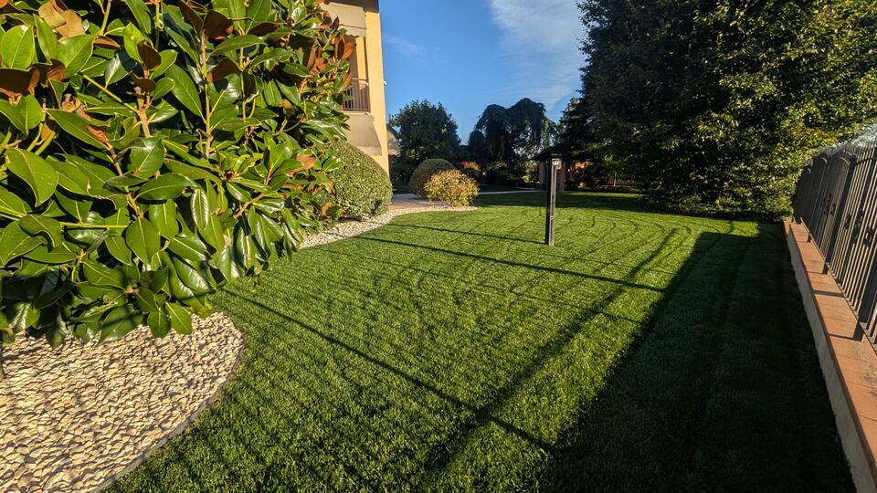Prato in ombra lungo una recinzione verde