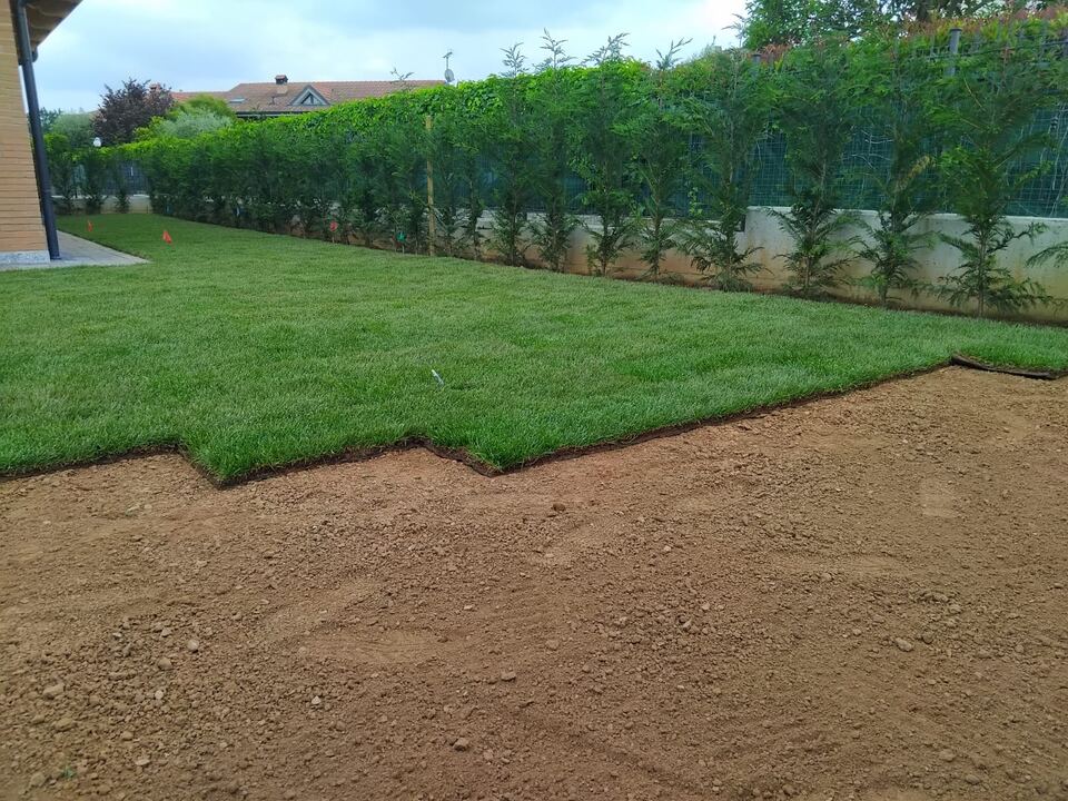 Rotoli di prato posati su terreno preparato