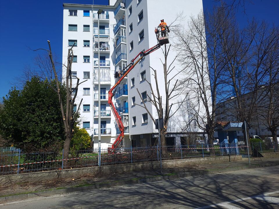 Piattaforma per la potatura di un albero in giardino