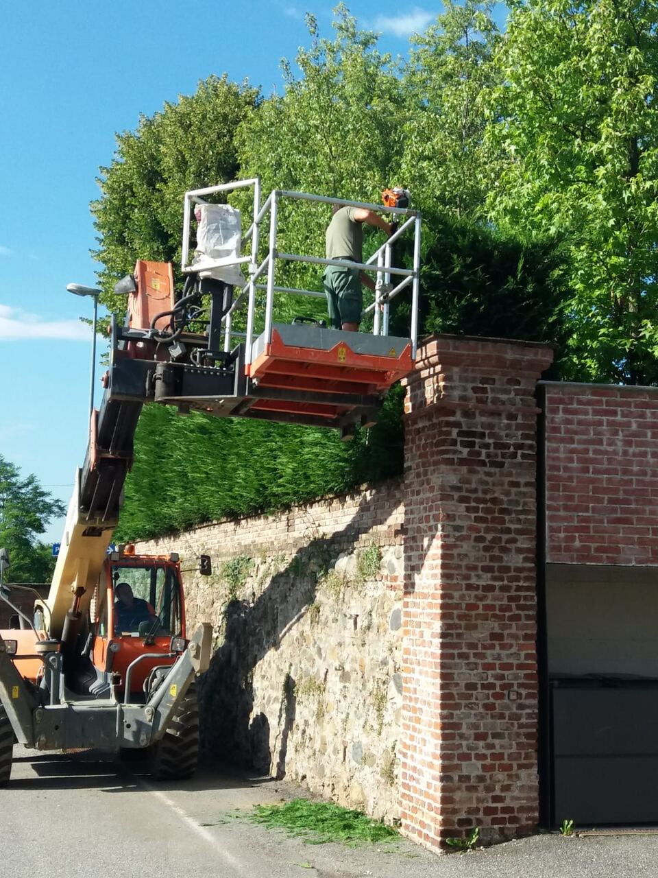 Intervento di potatura su un albero vicino a una casa
