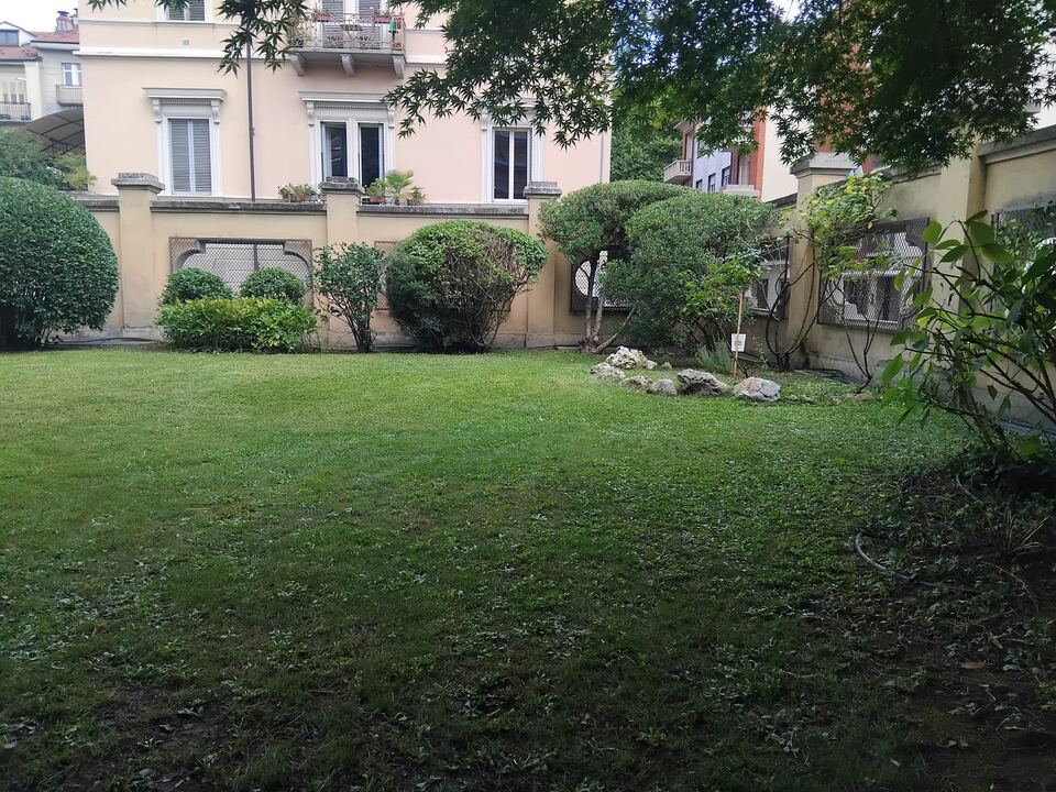 Giardino verde con prato e siepi già formate