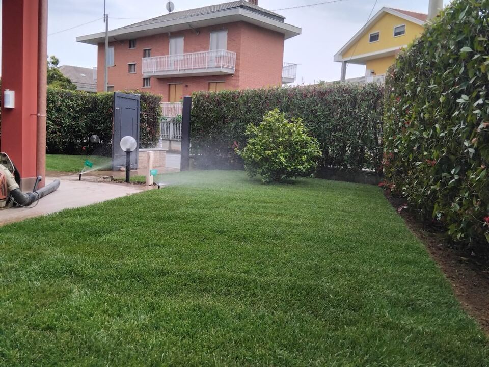 Prato nuovo con siepi e bordo in pietra