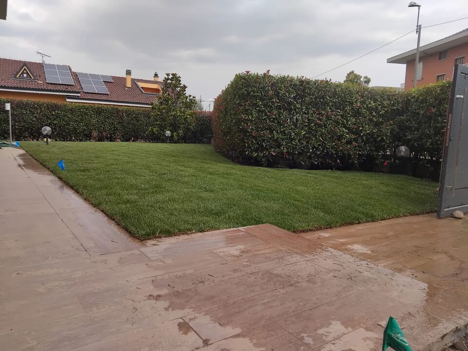 Prato appena sistemato in un giardino con siepi