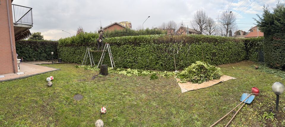 Area verde con vegetazione bassa e terreno in lavorazione