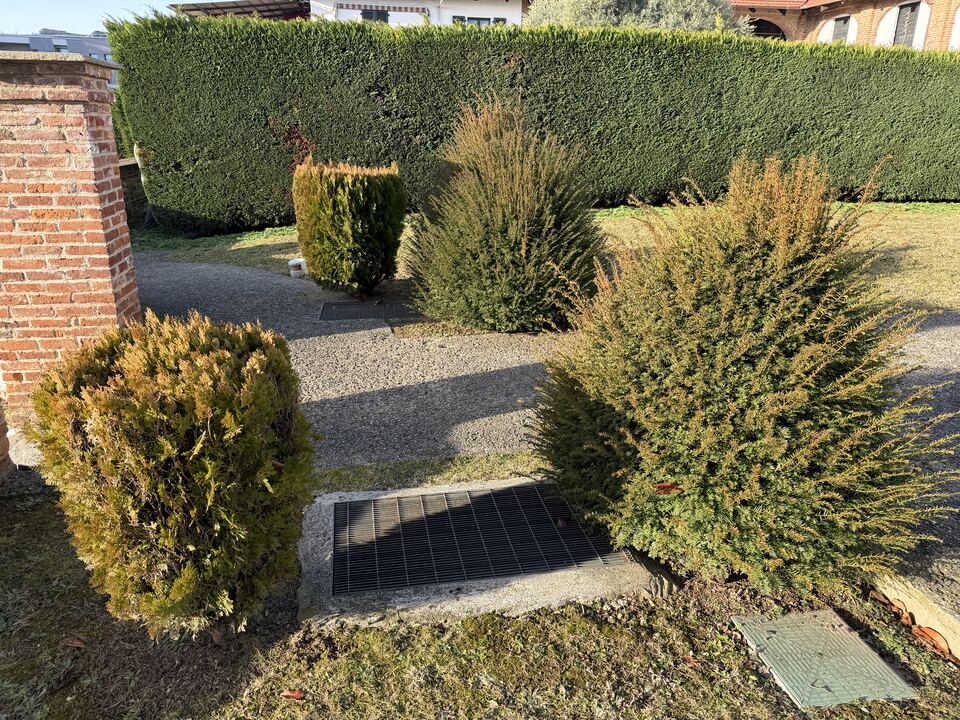 Arbusti e siepi potati lungo il muro di una casa
