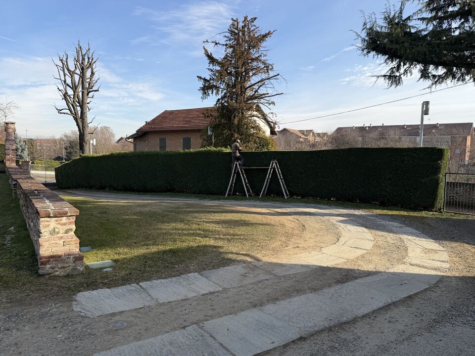 Siepe potata lungo il vialetto di ingresso