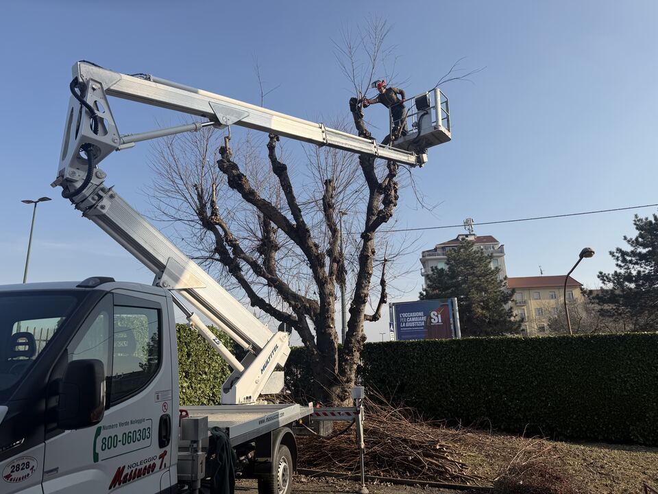 Siepe e prato curati lungo il bordo di una proprietà