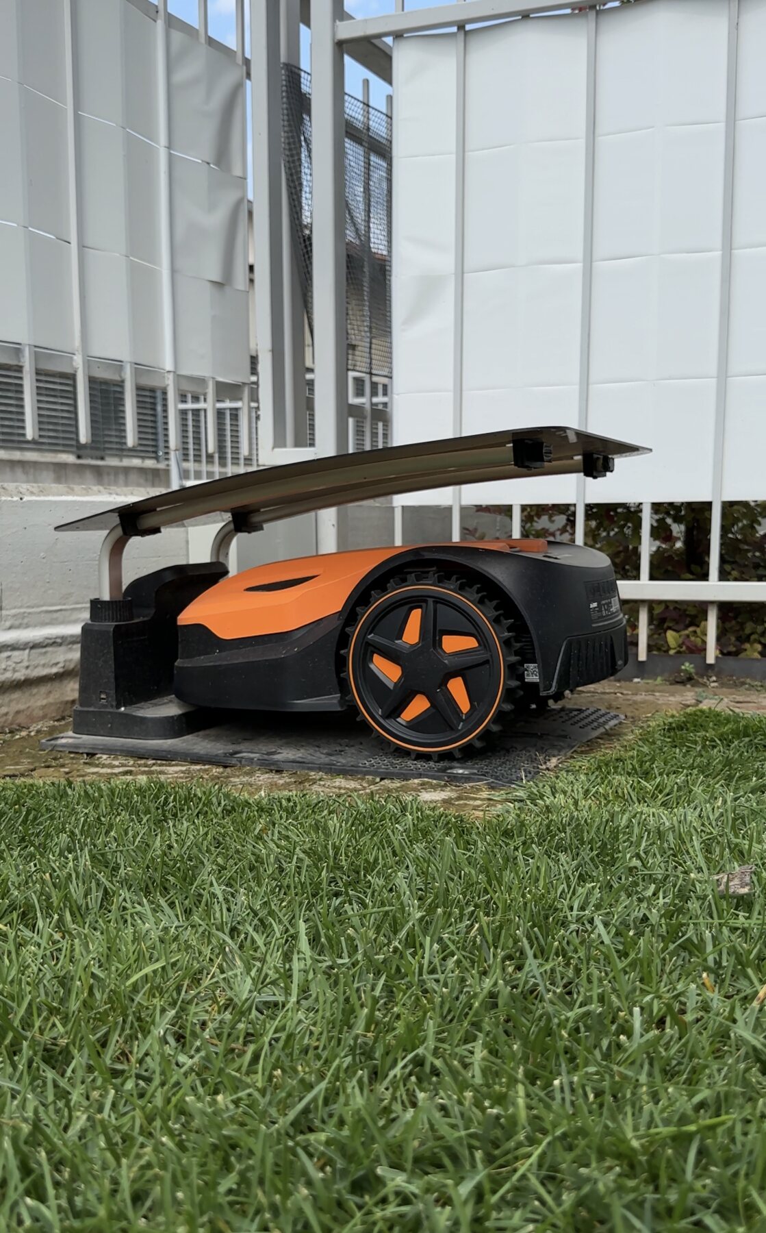 Robot rasaerba